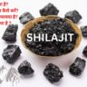 Shilajit